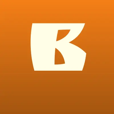 BRONOSKINS, компания по установке защитных покрытий, лого-визитка