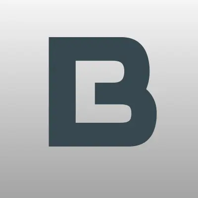 Berglion, магазин систем видеонаблюдения, лого-визитка