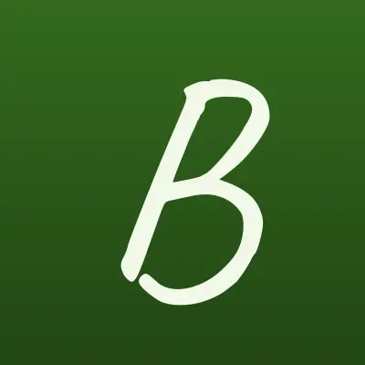 Бюджет-информ, лого-визитка