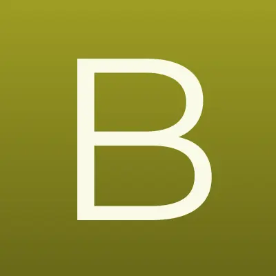 Быт и Сервис, компания, лого-визитка
