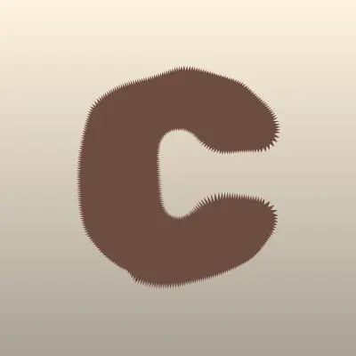 California, шоурум, лого-визитка