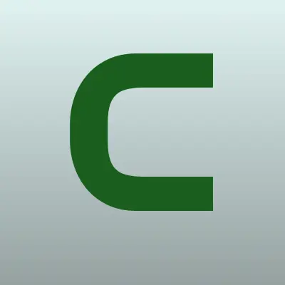 CarNet55.ru, интернет-магазин, лого-визитка