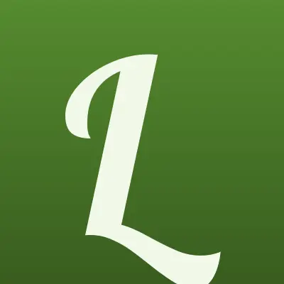 #ЛАВАШ, сеть кафе быстрого питания, лого-визитка