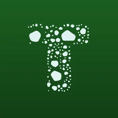 Тим-Транс, транспортная компания, лого-визитка