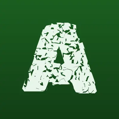 Авто аква-матика